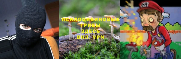 крисы Баксан