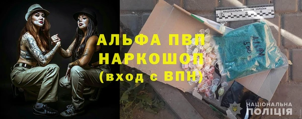 PSILOCYBIN Балахна