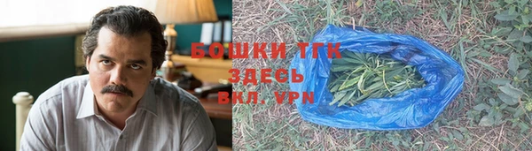 PSILOCYBIN Балахна