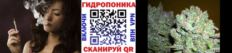 Бошки Шишки VHQ  Артёмовский 